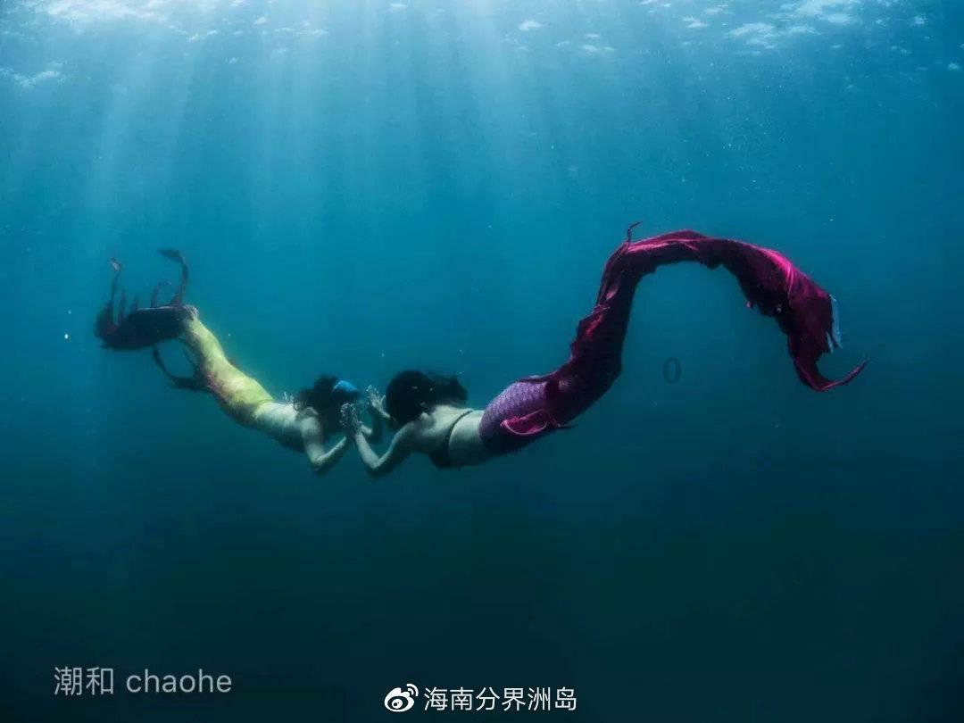 动词游戏